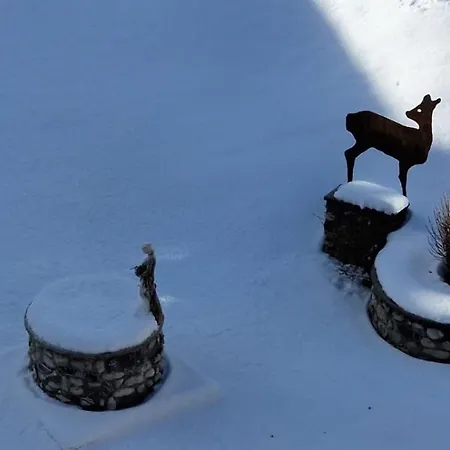 Lägenhet Padola, La Tua Casa In Montagna Padola
