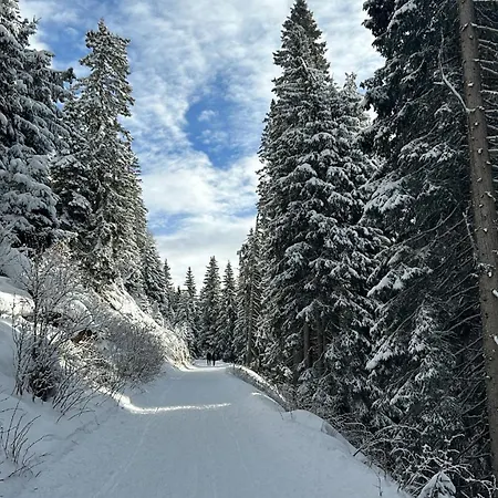 Padola, La Tua Casa In Montagna דירה